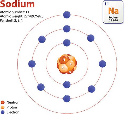 Natrium (P.